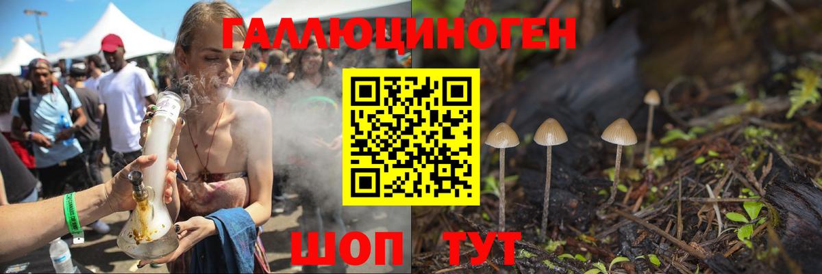Дмитров  Псилоцибиновые грибы ЛСД  Вход с VPN  Галлюциногенные грибы Magic Shrooms 