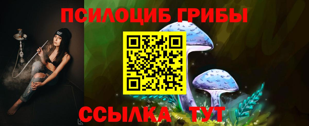 Галлюциногенные грибы ЛСД Дмитров